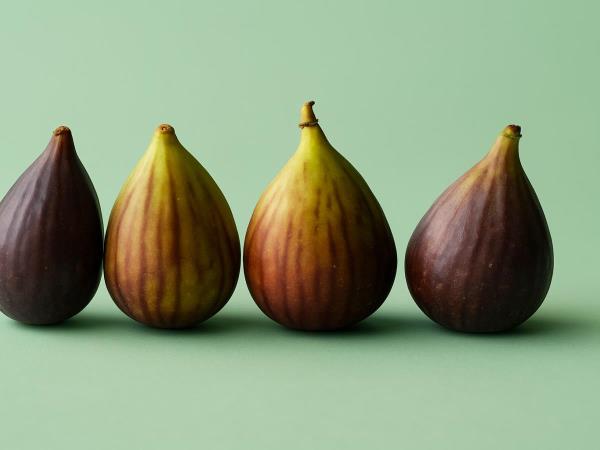 Was heilt Leber und Knochen und senkt den Cholesterinspiegel?